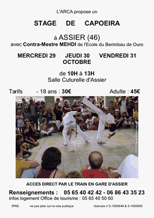 Stage de Capoeira